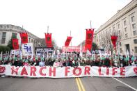 Activists carry banner during the 47th annual March for Life in Washington