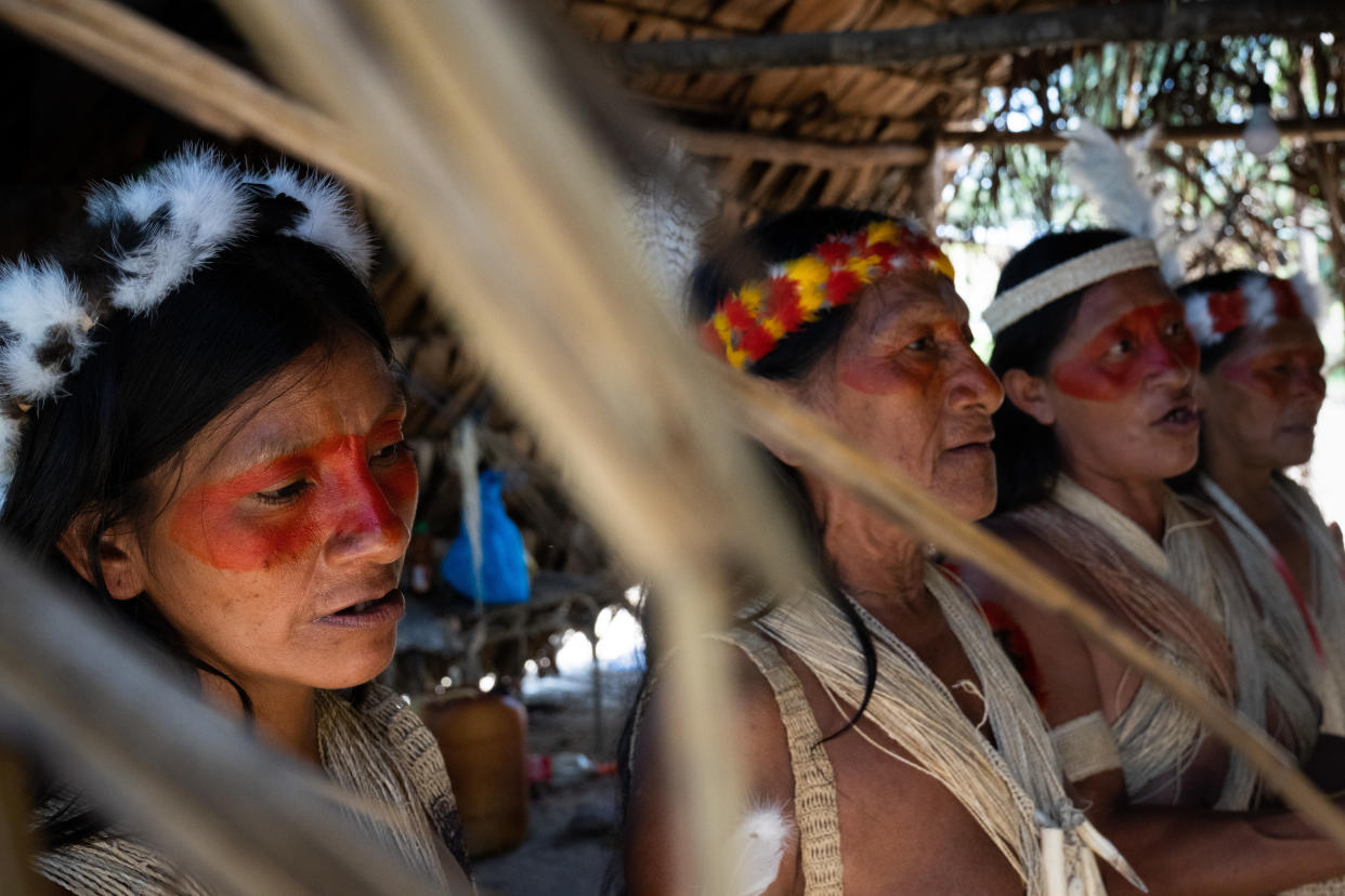 Una parvada de garzas vuela sobre la región de Yasuní. (Erin Schaff/The New York Times)
