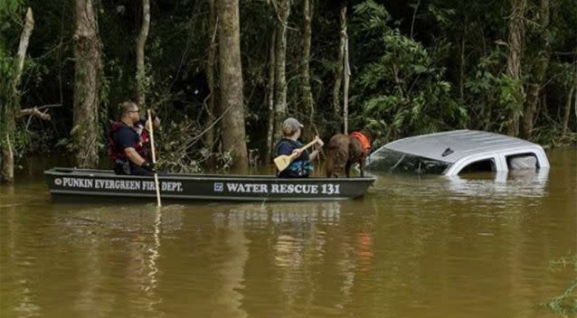 A car became stuck in the trees trying to pass through floodwaters.