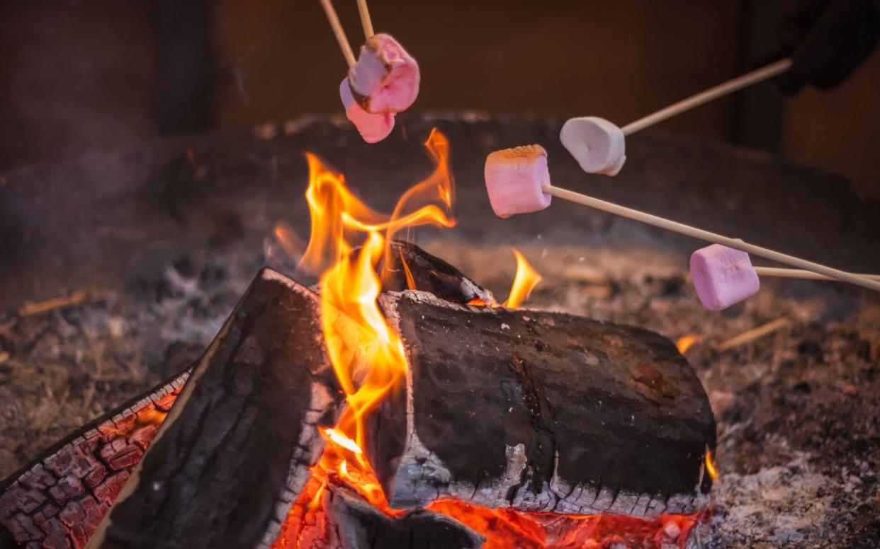 Kids (and big kids) will love to toast marshmallows - Victor Huang/iStockphoto