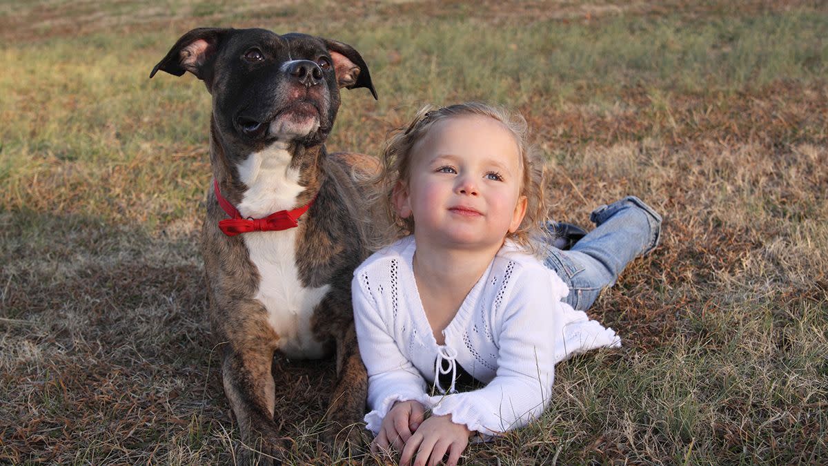 An online story claimed a toddler had been missing for 2 days until rescuers saw a pit bull wander into the yard and also mentioned a veterinarian. 