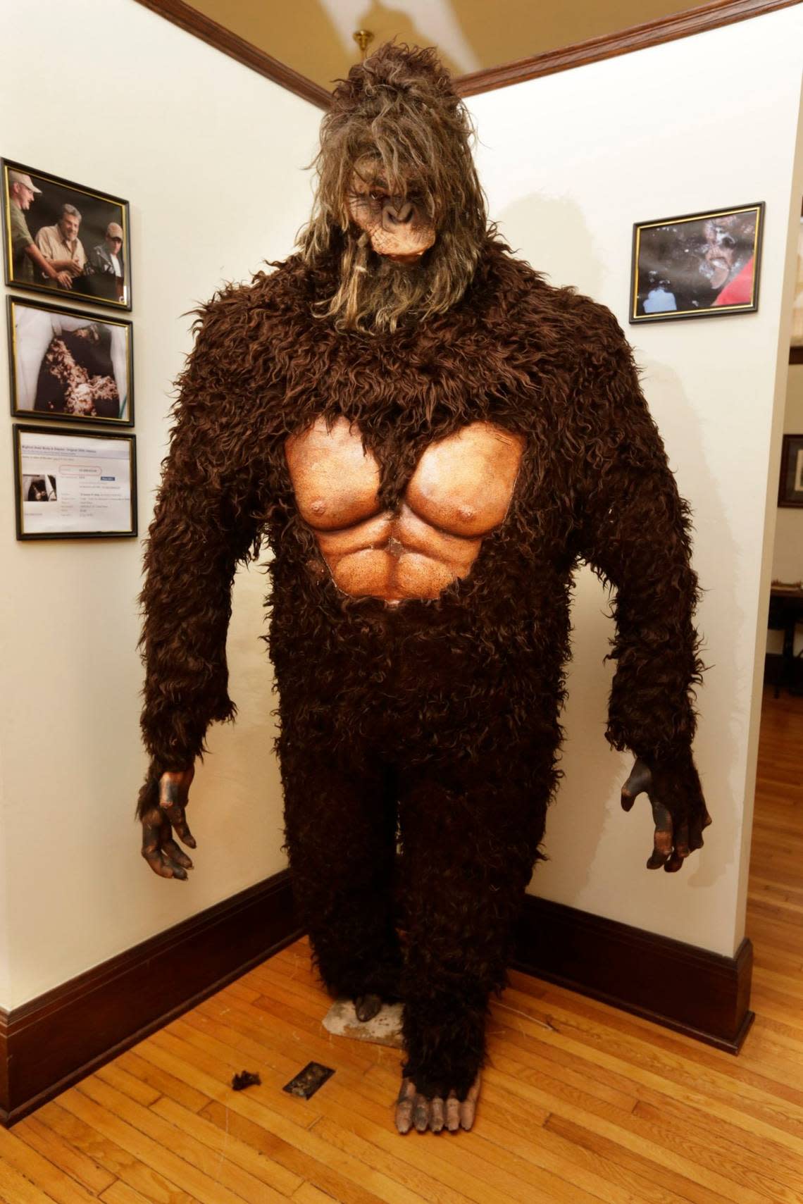 A Bigfoot suit on display at the Bell County Historical Society Museum in Middlesboro, Ky, on Sept. 1, 2016. The Bigfoot suit was part of a hoax in 2008 which made international news and is now on permanent display