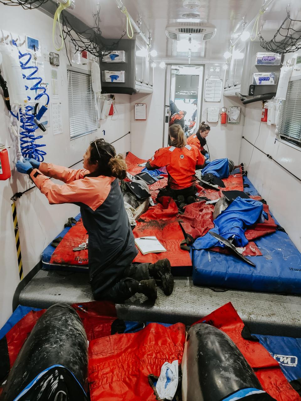 IFAW marine mammal rescue team members work in the organization's mobile dolphin rescue unit with Atlantic white-sided dolphins rescued from strandings along the Cape Cod Bay shore earlier this week. They were re-released in deeper waters. Pictured are: (left front) intern Nydia Chowdhury, (middle) apprentice Victoria Zelinski, and (back right) veterinarian Dr. Sarah Sharp.