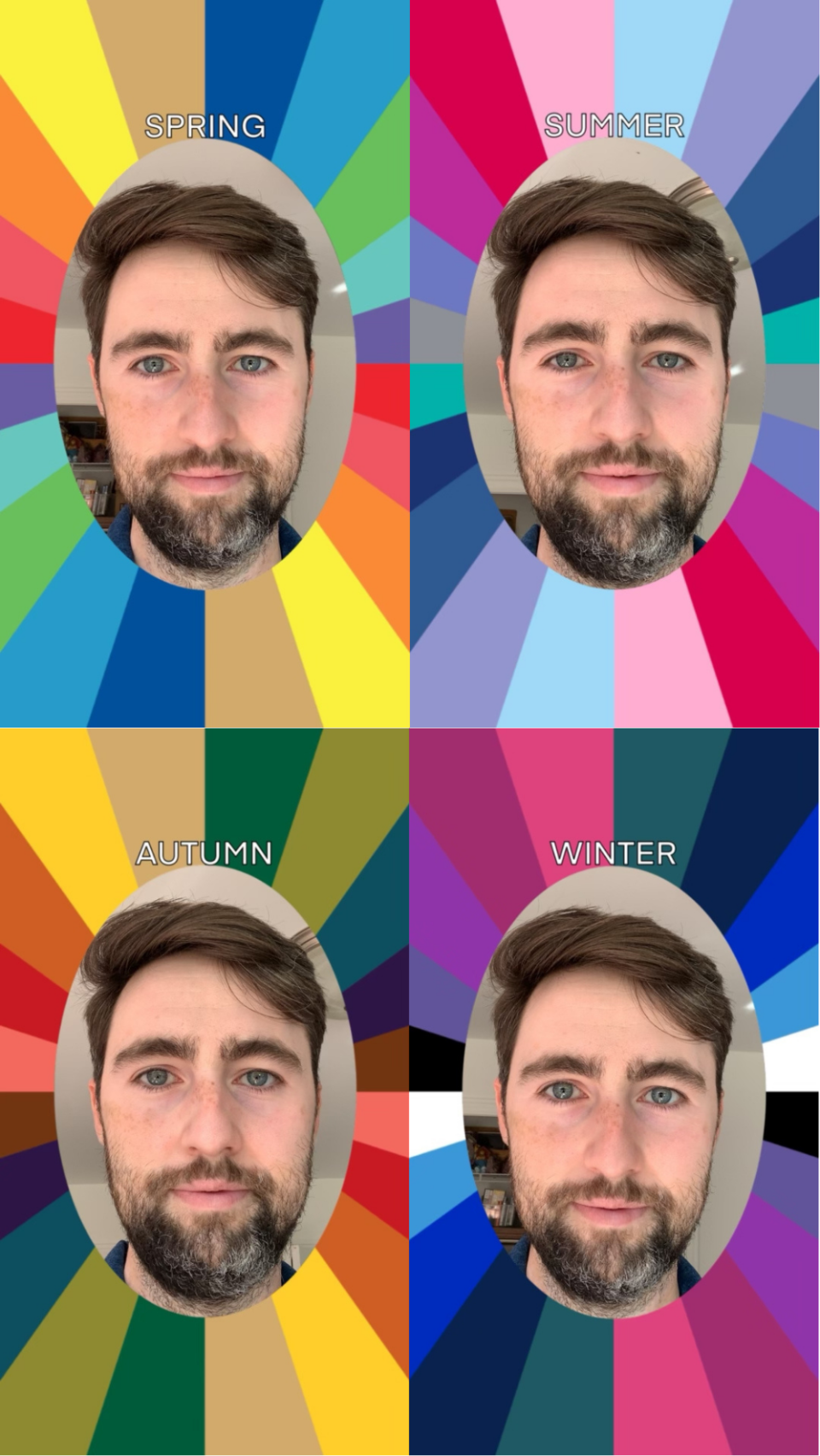 Four oval portraits of the same man with different seasonal color palettes labeled 'Spring,' 'Summer,' 'Autumn,' and 'Winter' surrounding his face