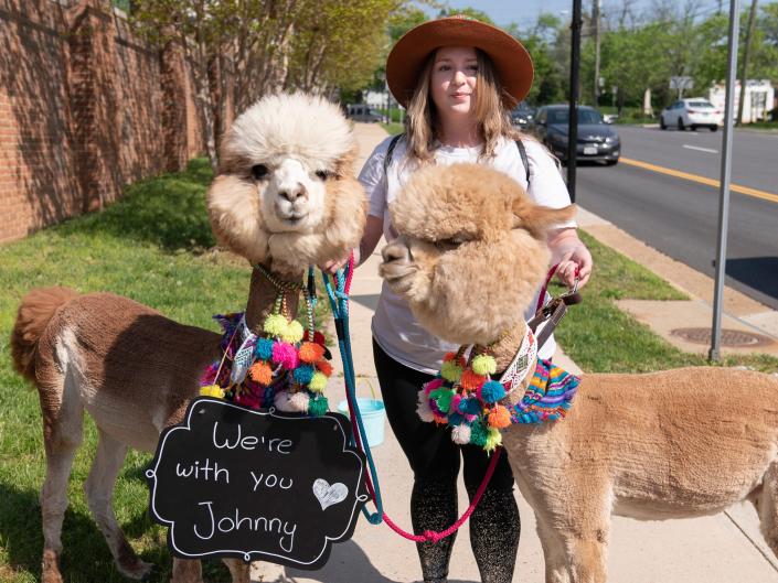 Andre Diaz brought two alpacas to support Johnny Depp.