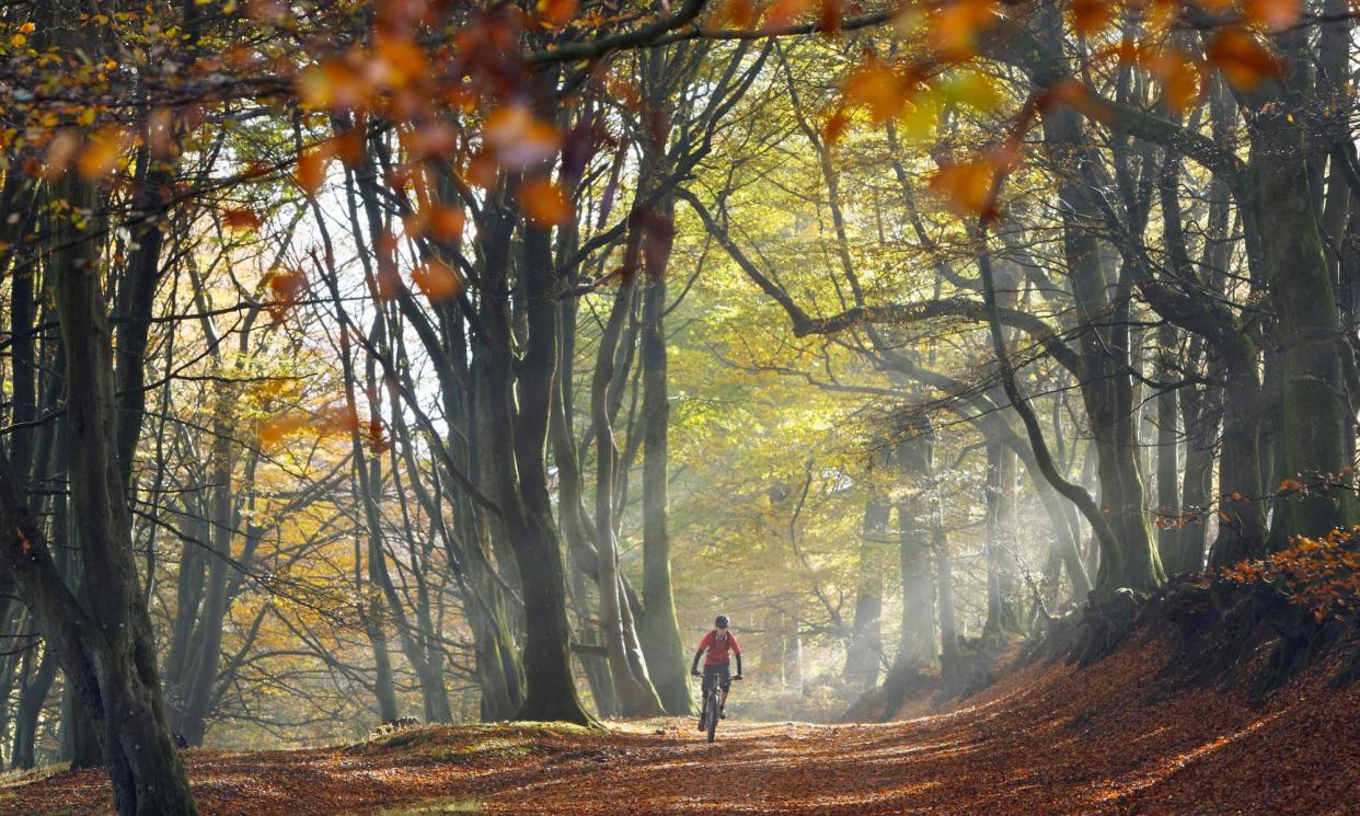 <span>A mountain biker cycling through an autumnal forest.</span><span>Photograph: Jon Hicks/Getty Images</span>