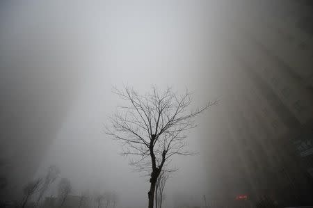 Buildings are seen in heavy smog during a polluted day in Jinan, Shandong province, China, December 20, 2016. REUTERS/Stringer