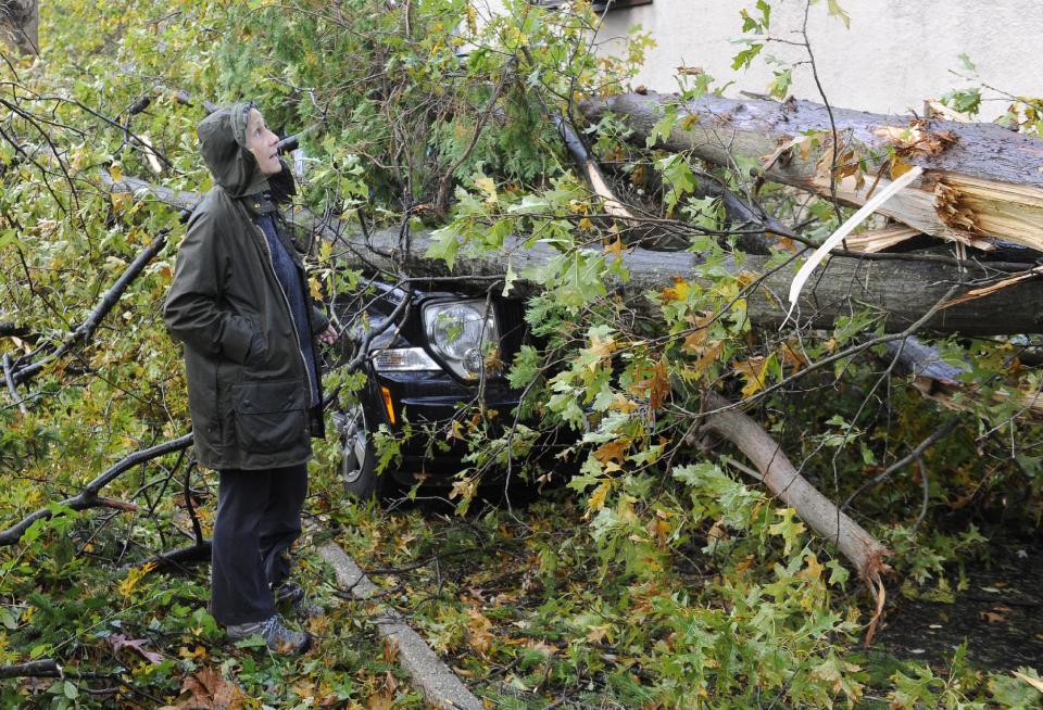 Barbara Sinenberg surveys the damage to the car and home of a neighbor, after superstorm Sandy felled trees crushing the car and bringing down power lines on Barberry Lane in Sea Cliff, N.Y. on Tuesday, Oct., 30, 2012. (AP Photo/Kathy Kmonicek)