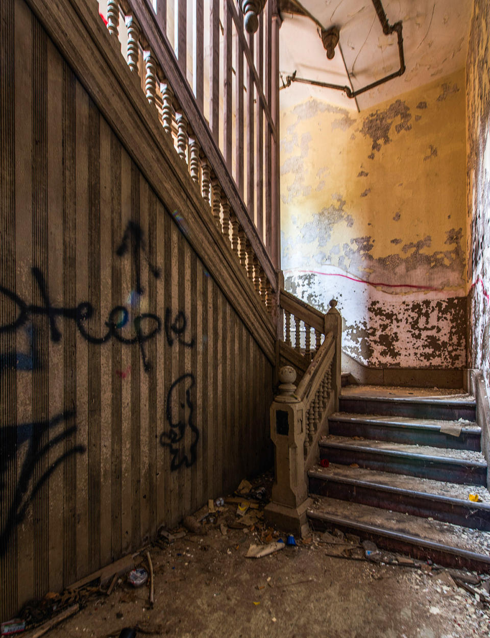 Abandoned lunatic asylum