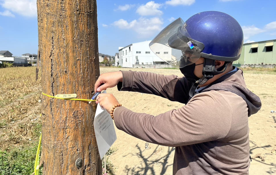 安南區公所派人拆除「移樹」公告。（記者陳治交攝）