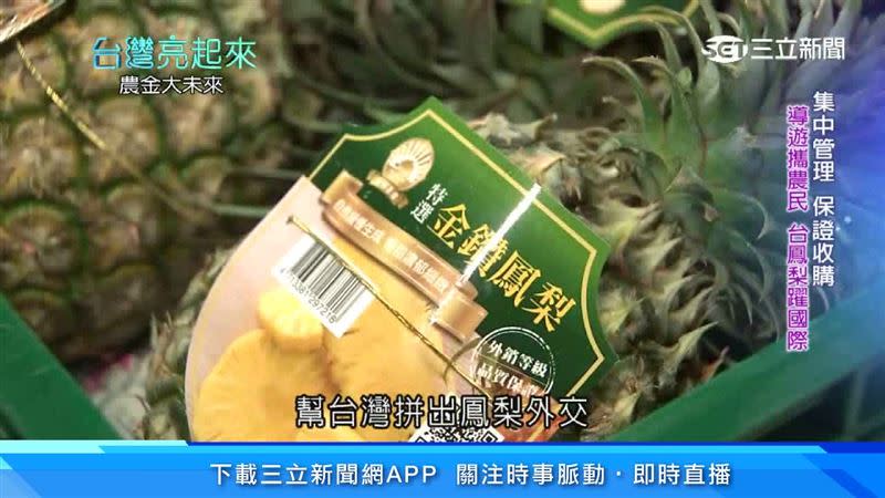 中國日前禁止台灣鳳梨進口，卻有小農將金鑽鳳梨賣向世界舞台，闖出一片天。