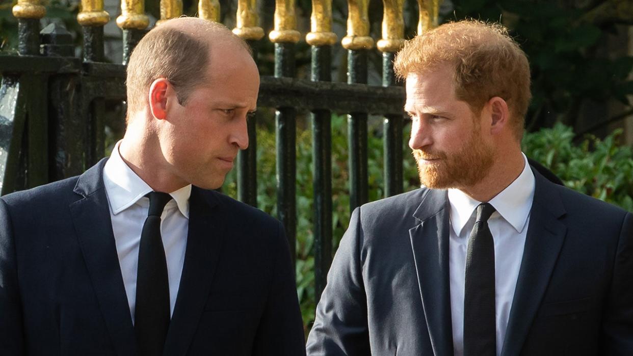 A photo of Prince William and Prince Harry