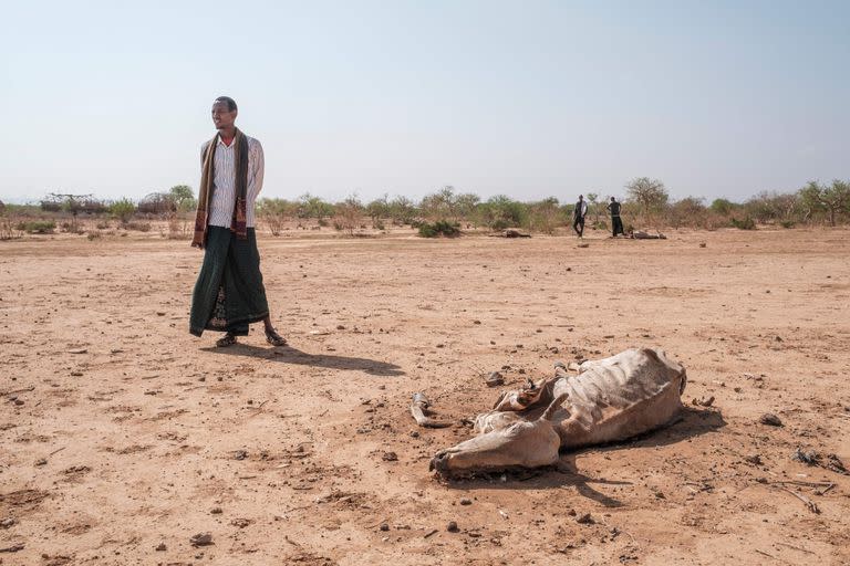 La guerra en Ucrania agravará la fragilidad de los países muy dependientes de los cereales o fertilizantes rusos y ucranianos, como Somalia, según la ONU.