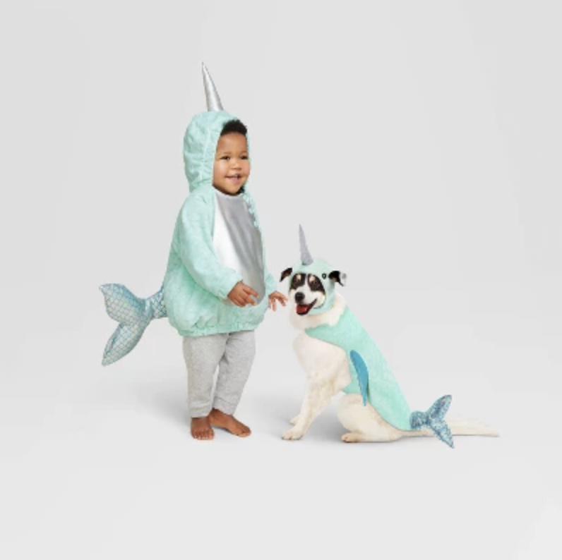 Narwhal costumes 