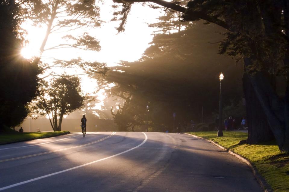 Golden Gate Park