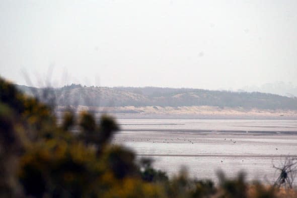 Solway firth Scotland