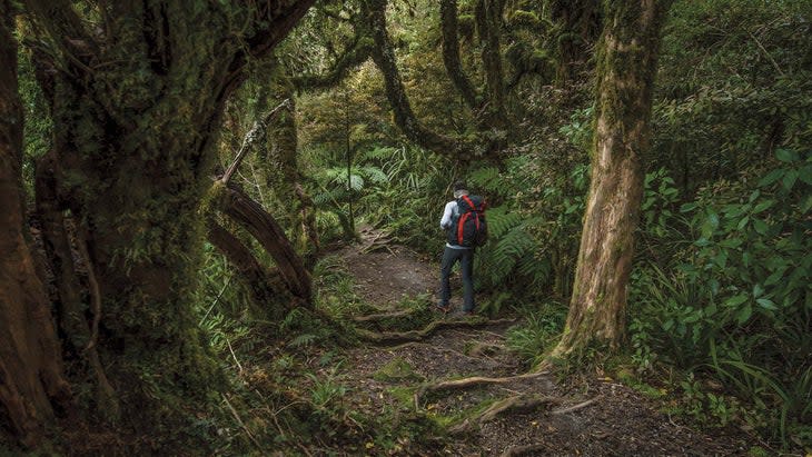 Hiking New Zealand