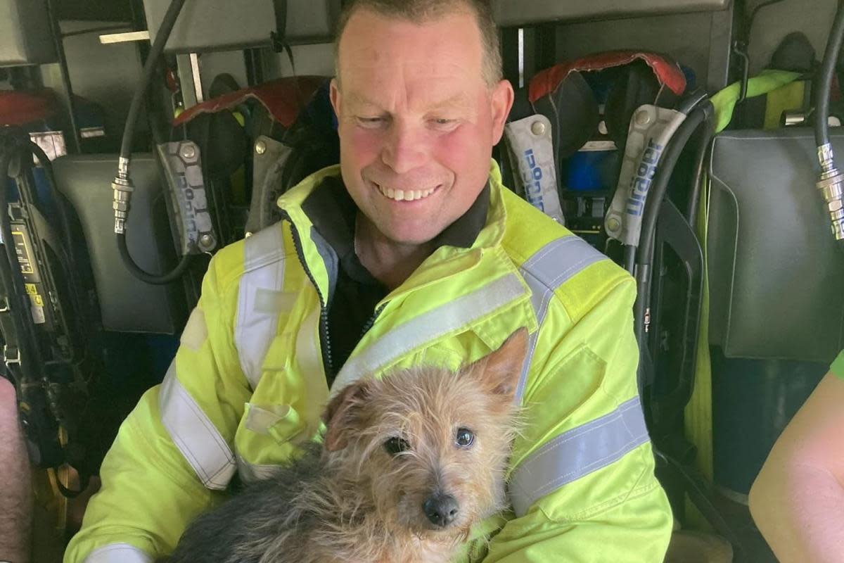 Firefighter James Trounson has adopted a dog found next to its owner <i>(Image: Helston Community Fire Station)</i>