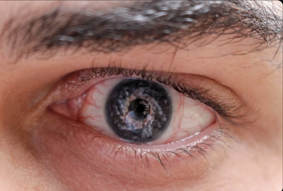 Close-up of a person's eye with visible eyelashes and eyebrow