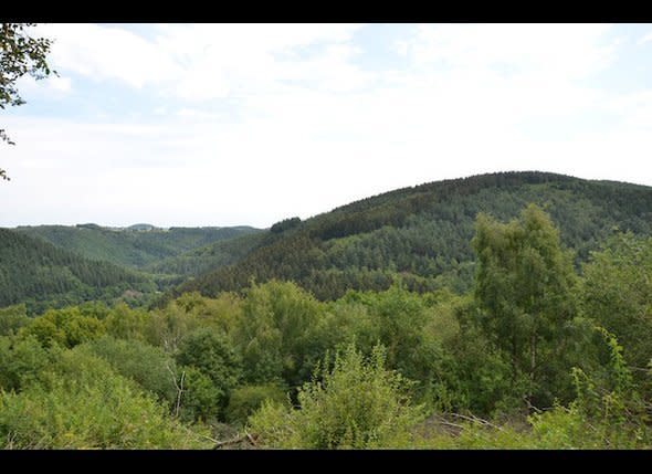 As you can see, the Huertgen Forest is dense, but it is also beautiful. Camping and cycling is possible throughout as one explores history and battlefield areas.    There are local hotels along Rt. 399. Nearby Aachen is an option for lodging, as well.    Photo: David Kiley/HuffPost Travel