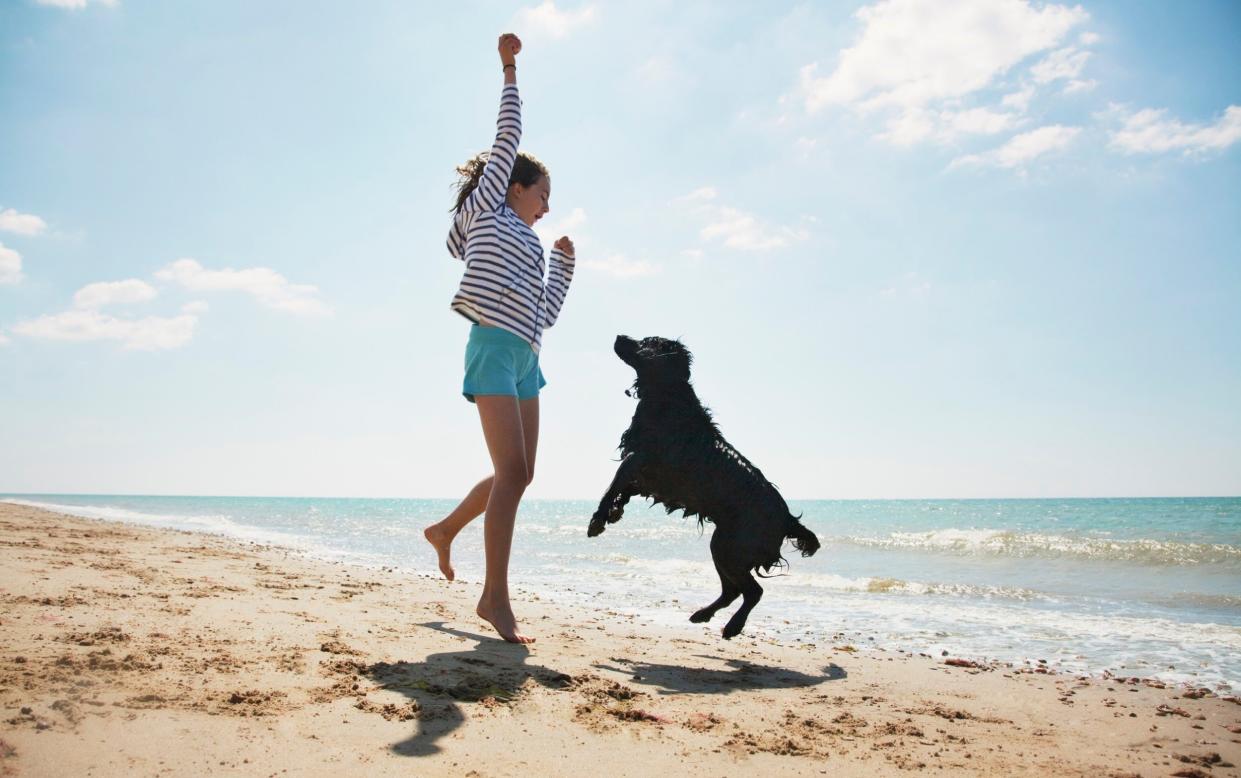 Girl playing with dog on beach - Getty/OJO Images RF