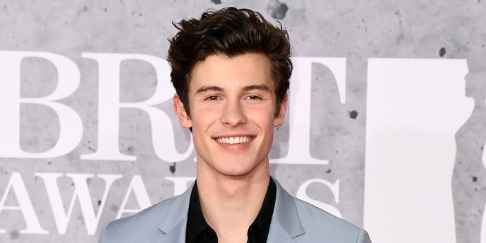 Shawn Mendes Elects Harry Styles As the Next Shirtless Calvin Klein  Underwear Model and the Internet Agrees