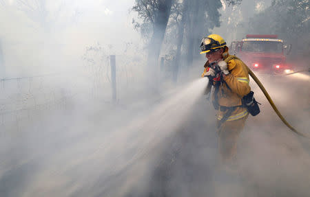 A firefighter knocks down hotspots to slow the spread of the River Fire (Mendocino Complex) in Lakeport, California, U.S. July 31, 2018. REUTERS/Fred Greaves