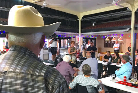 Local residents listen to Australian senator Pauline Hanson as she speaks in a pub in the northern Australian town of Bowen in Queensland, Australia, November 9, 2017. Picture taken November 9, 2017. REUTERS/Jonathan Barrett