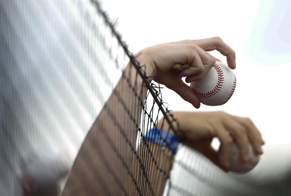 FILE - In this March 11, 2018 file photo fans holds baseballs over the protective netting before a spring training game between the New York Mets and the Houston Astros, in Port St. Lucie, Fla. Illinois' two senators have urged Major League Baseball to be more transparent about fans who are injured by foul balls, saying the lack of data is creating confusion about the extent of the problem. Democratic Sens. Dick Durbin and Tammy Duckworth said in a letter to baseball Commissioner Rob Manfred this week that MLB should "collect and report data about fan injuries." (AP Photo/John Bazemore, file)