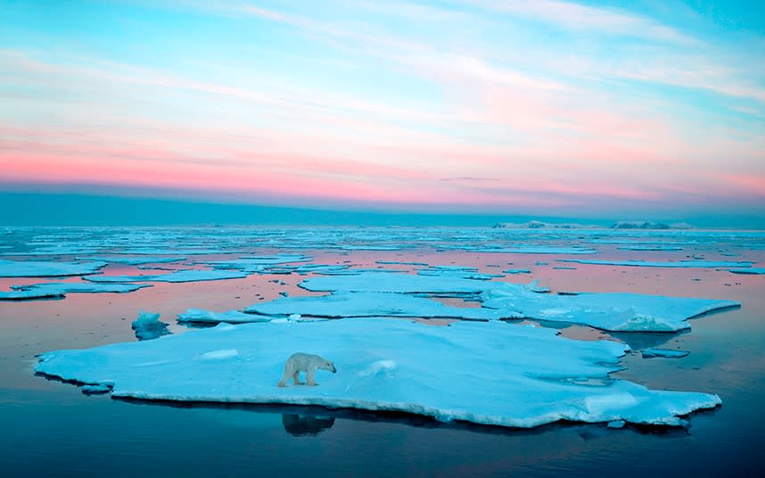 Watch where you step: Norway's Svalbard archipelago - Justinreznick