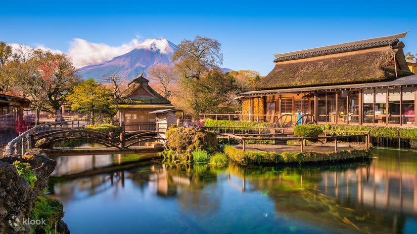 Yamanashi｜Kawaguchiko Oishi Park & Fugaku Wind Cave & Narusawa Ice Cave & Oshino Hakkai Day Tour｜From Tokyo. (Photo: Klook SG)