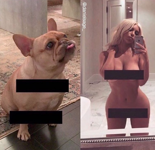 <p>#Kimming isn’t just for humans. Here, a naked Frenchie gets in on some censoring action.<i> (Photo: @<a href="https://www.instagram.com/p/BCrcrTajVRD/?taken-by=danielsage_" rel="nofollow noopener" target="_blank" data-ylk="slk:danielsage_;elm:context_link;itc:0;sec:content-canvas" class="link ">danielsage_</a>/Instagram)</i></p>