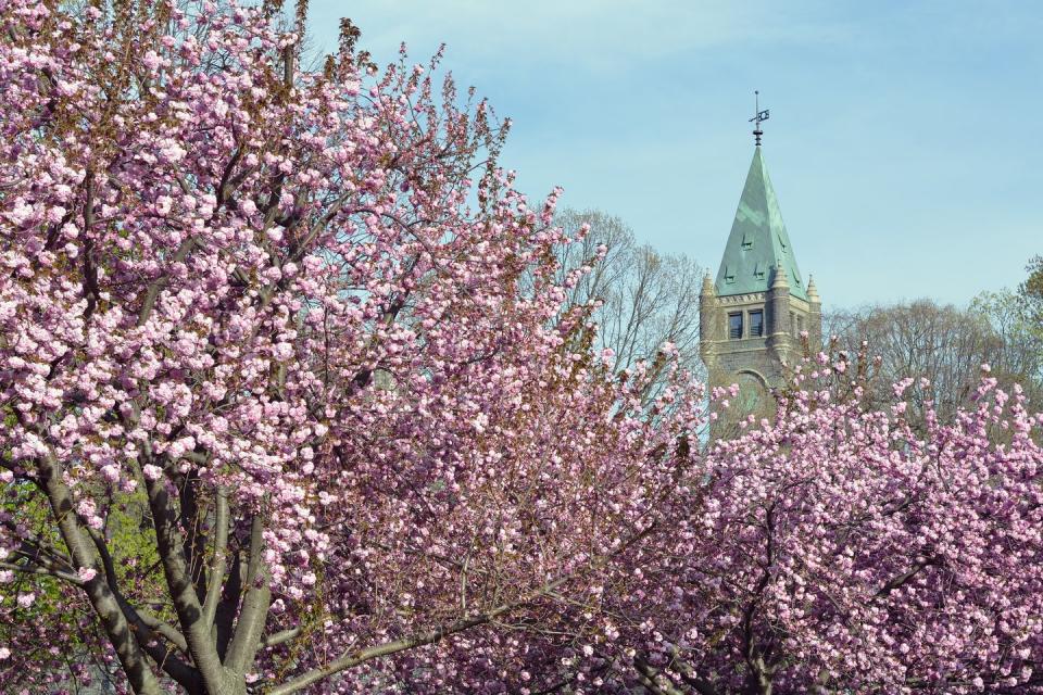 49) Bryn Mawr College (in Bryn Mawr, Pennsylvania)