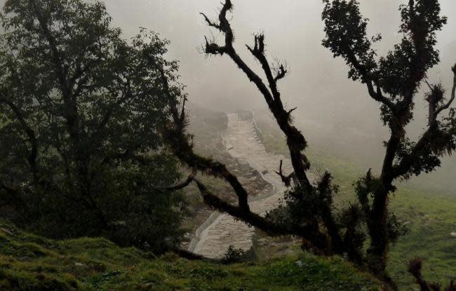 Through veils of mist we looked back at the road we had travelled. The oak trees wore shaggy coats of moss and fern. In the peak of winter, the trees will be bare.