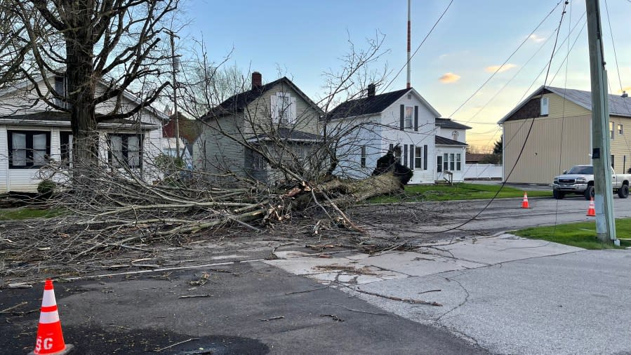 Wednesday's severe storms brought down several trees in Bucyrus, Crawford County. (NBC4)