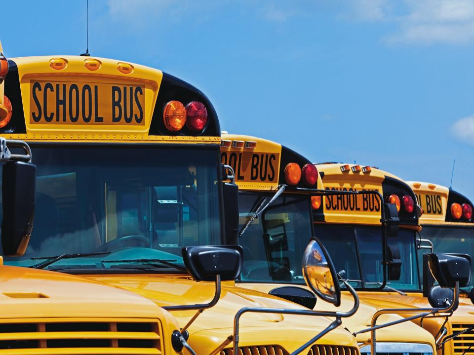 A row of yellow school buses