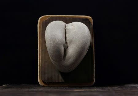 A stone collected and categorised by shape (female genitalia) is seen at the home workshop of Luigi Lineri in Zevio, near Verona, Italy, June 10, 2016. REUTERS/Alessandro Bianchi