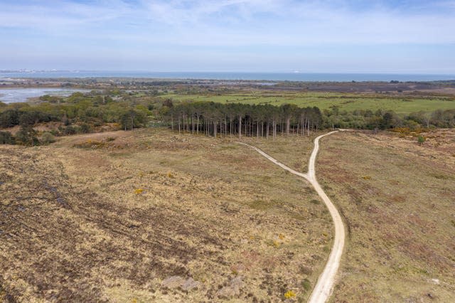 Das Remstone Estate auf Purbeck Heaths in Dorset 