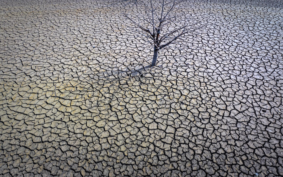 View of the Sau reservoir about 100 km (62 miles) north of Barcelona. Spain, Monday, March 20, 2023. The Sau reservoir's water levels now stand at 9% of total capacity, according to Catalan Water Agency data, so officials have taken the decision to remove its fish to stop them from asphyxiating. (AP Photo/Emilio Morenatti)