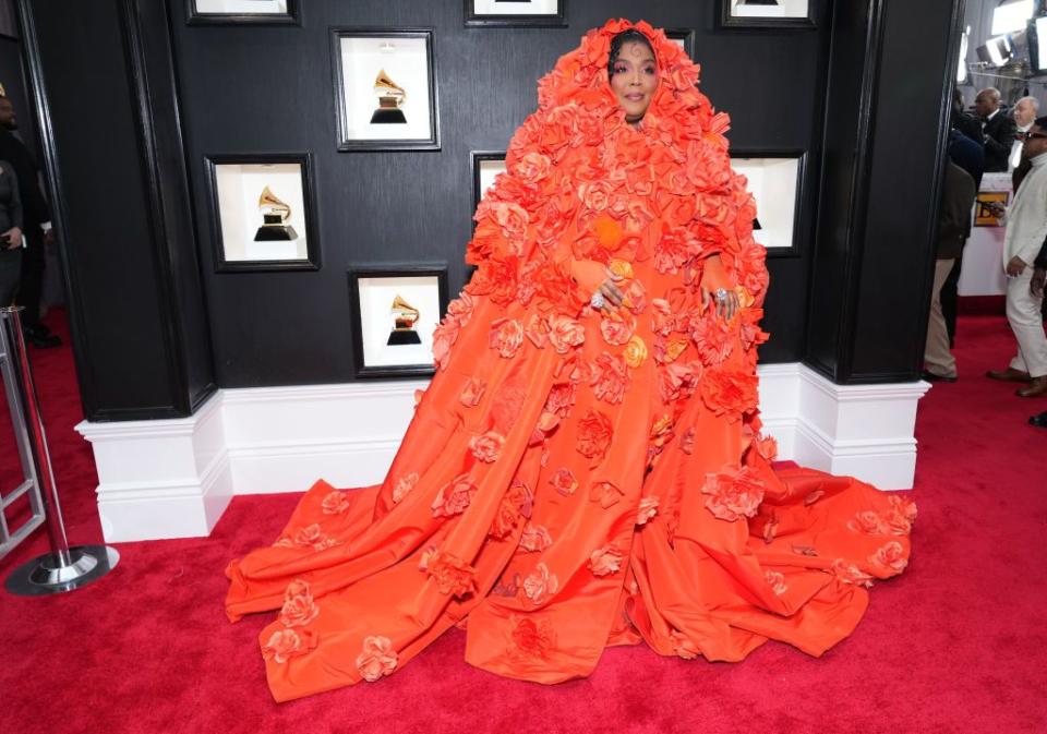 65th grammy awards red carpet