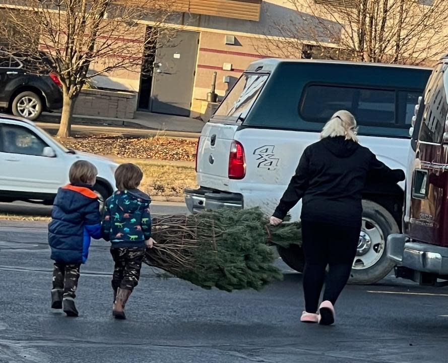 Free Christmas trees are available at the Serving Area Military (SAM) Center in Massillon.
