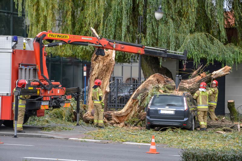 Firefighters remove a fallen tree after very strong winds in Zielona Gora