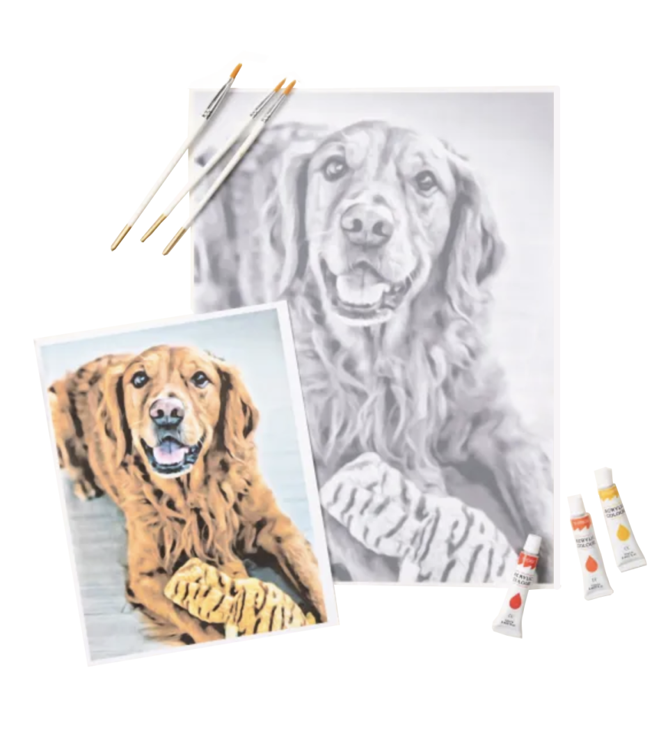 17) Custom Pet Paint by Shadows Kit