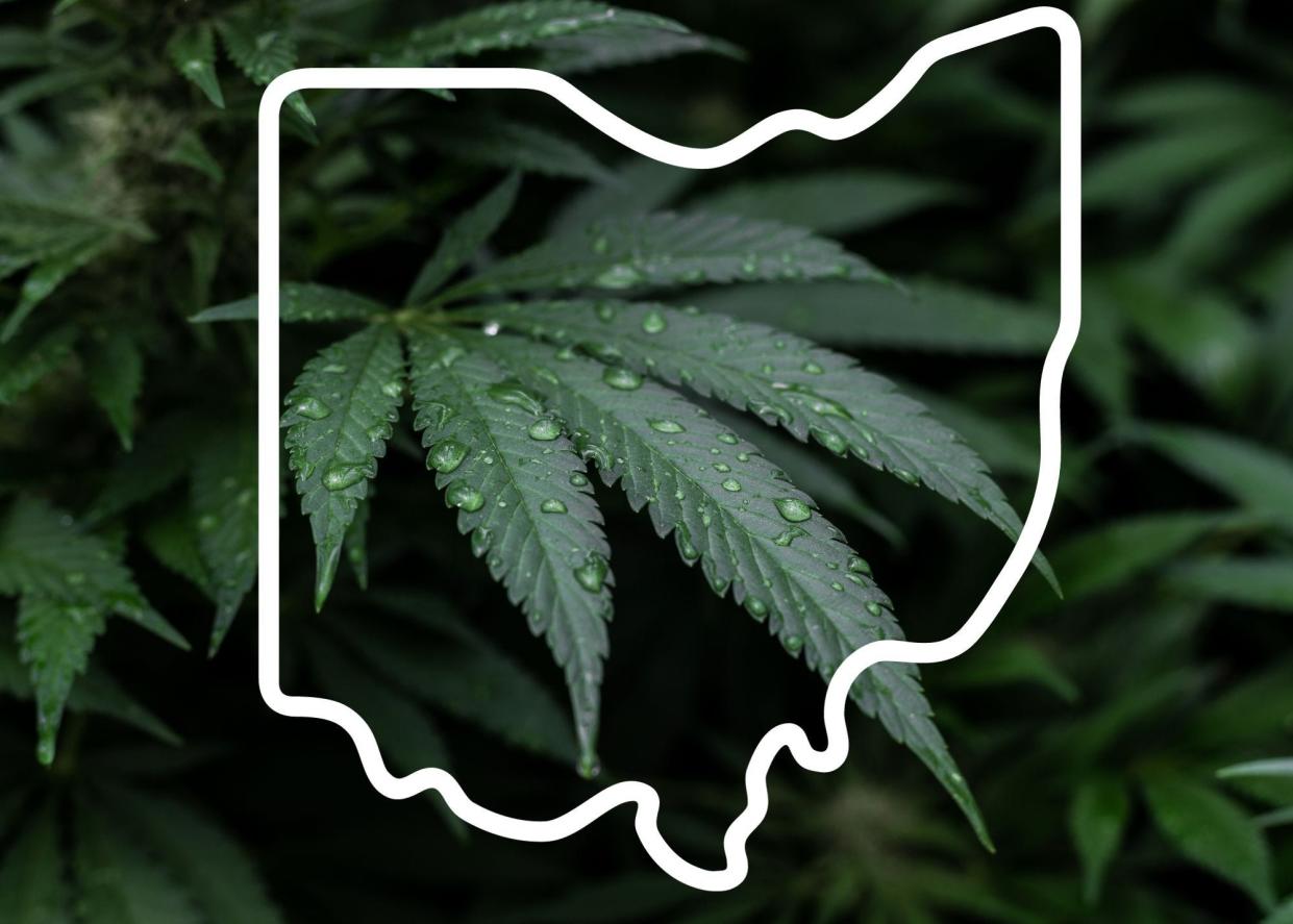 Ohio Marijuana graphic