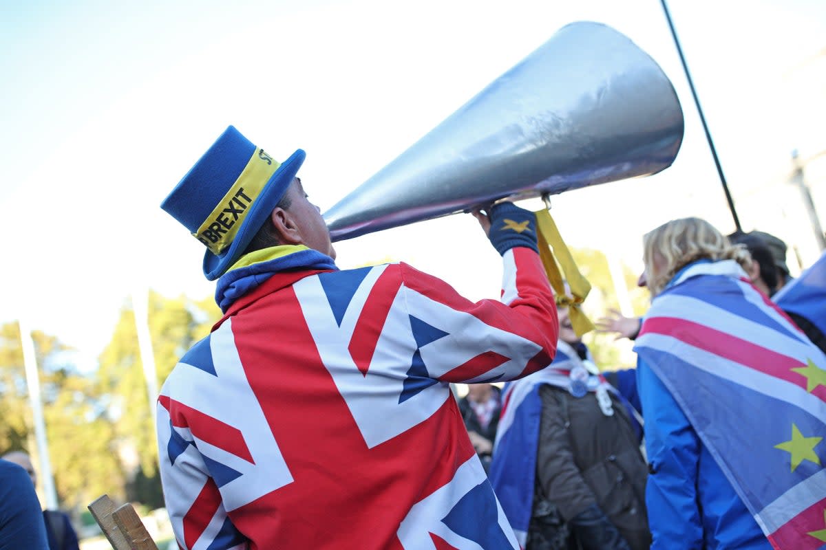 Anti-Brexit protester Steve Bray outside the Houses of Parliament (Yui Mok/PA). (PA Archive)