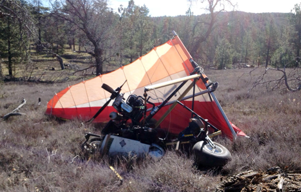 This image provided Saturday March 22, 2014, by U.S. Immigration and Customs Enforcement (ICE), shows a crash site Friday where Federal authorities said an ultralight aircraft carrying about 250 pounds of marijuana crashed in the mountains east of San Diego. (AP Photo/ICE)