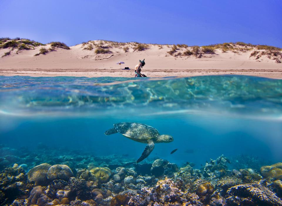 The calm of both human and animal. The things we miss as we are preparing. My partner was getting her flippers on and I was already prepared and ready to get in so I swam out to see if I could get this shot, I could have never imagined that in a million years I would have a turtle just cruising by at the moment I stuck my head under. How blessed. (Nathan Wills, Australia, Shortlist, Travel, Open Competition 2013 Sony World Photography Awards)