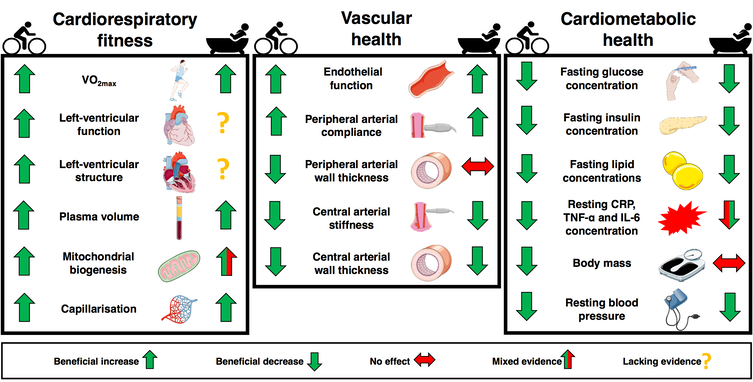 Diagram showing health functions that improve with bathing/exercise.