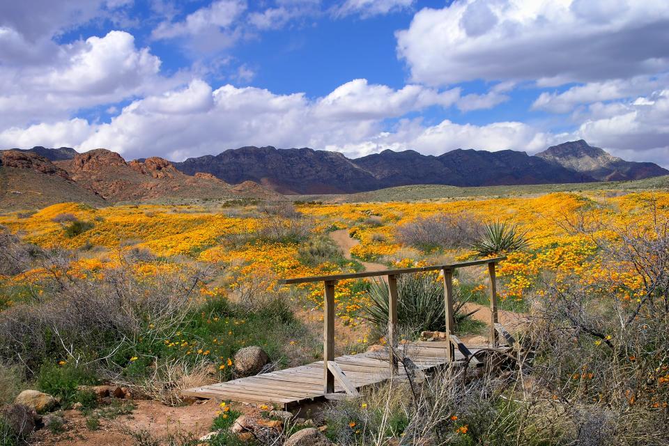 President Joe Biden will announce Tuesday that he will sign proclamations establishing the Castner Range National Monument in El Paso, Texas.