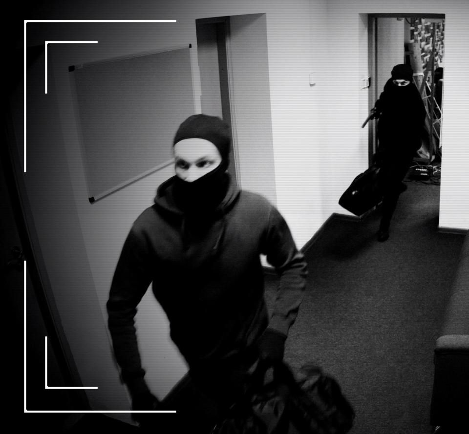 camera image of twi burglars in the house